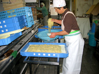 多田製麺会社概要写真２